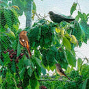 Tela Anti-Pássaros para Jardins, Proteção de Árvores Frutíferas, Vinhedos, Frutas, Culturas, Hortaliças e Flores, Rede de Cercamento, Cobertura para Lago e Piscina