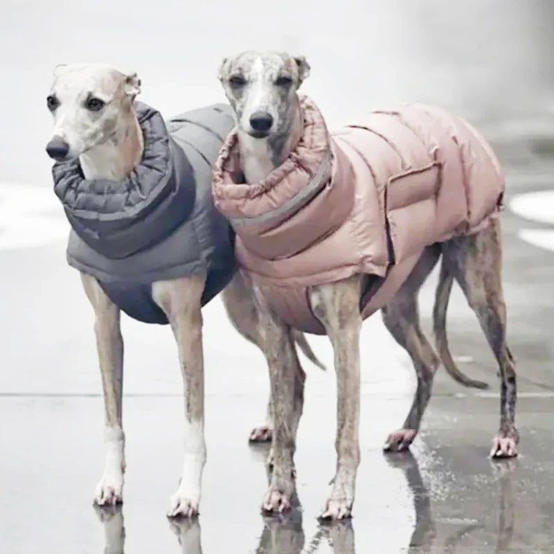 Roupa de Inverno Quente para Cachorro, Casaco com Penugem, Jaqueta Impermeável, Colete de Lã, Casaco Acolchoado, Roupa para Cachorros, Filhotes e Gatos, Fantasia para Pets