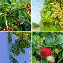 Tela Anti-Pássaros para Jardins, Proteção de Árvores Frutíferas, Vinhedos, Frutas, Culturas, Hortaliças e Flores, Rede de Cercamento, Cobertura para Lago e Piscina